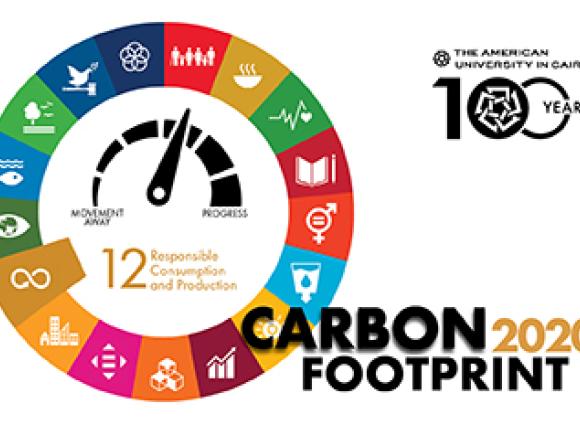 carbon-footprint-report-2020