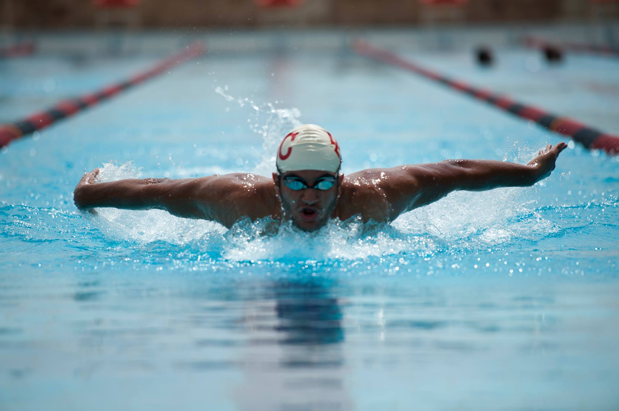 AUC swimming