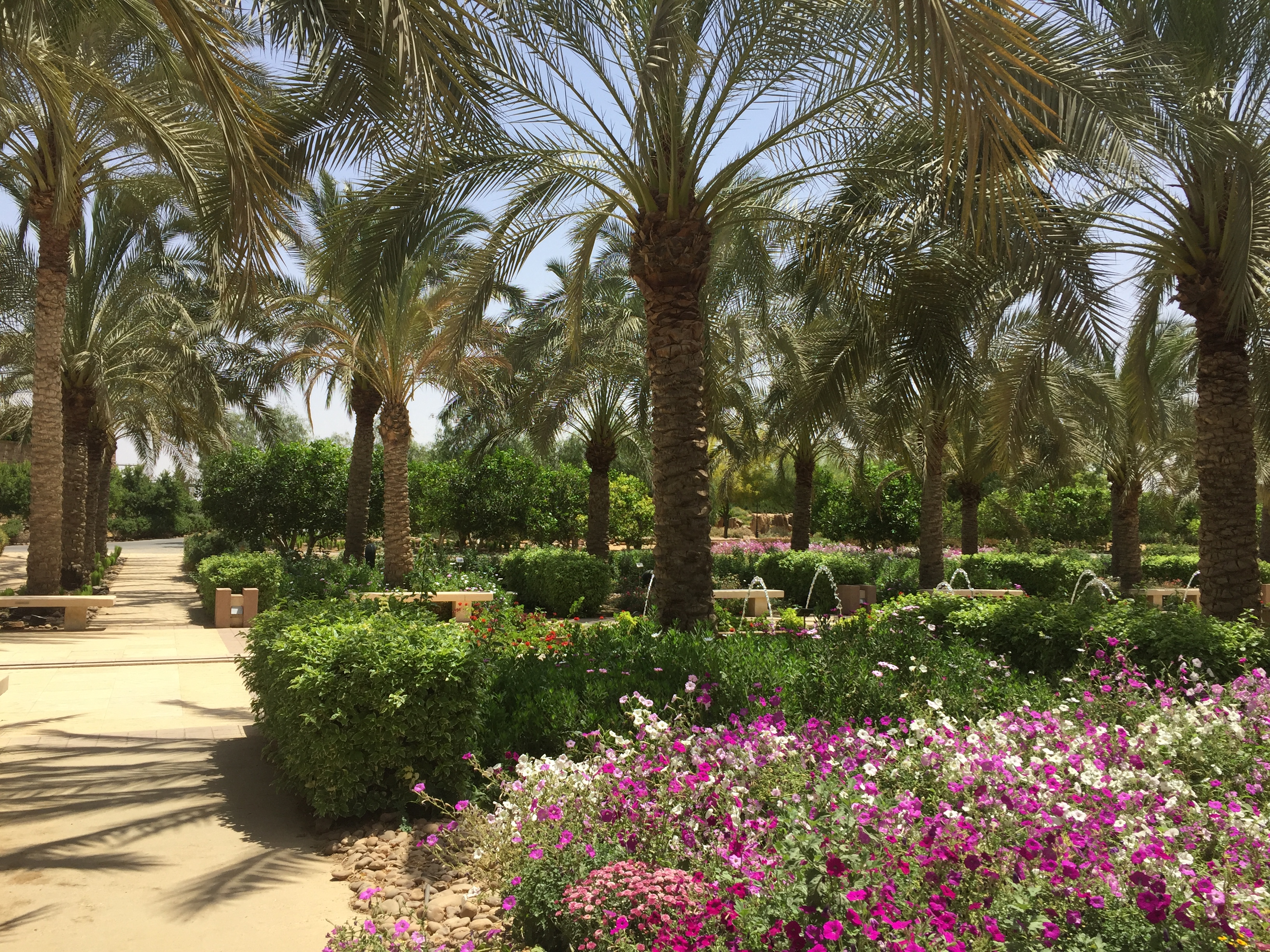 garden1
