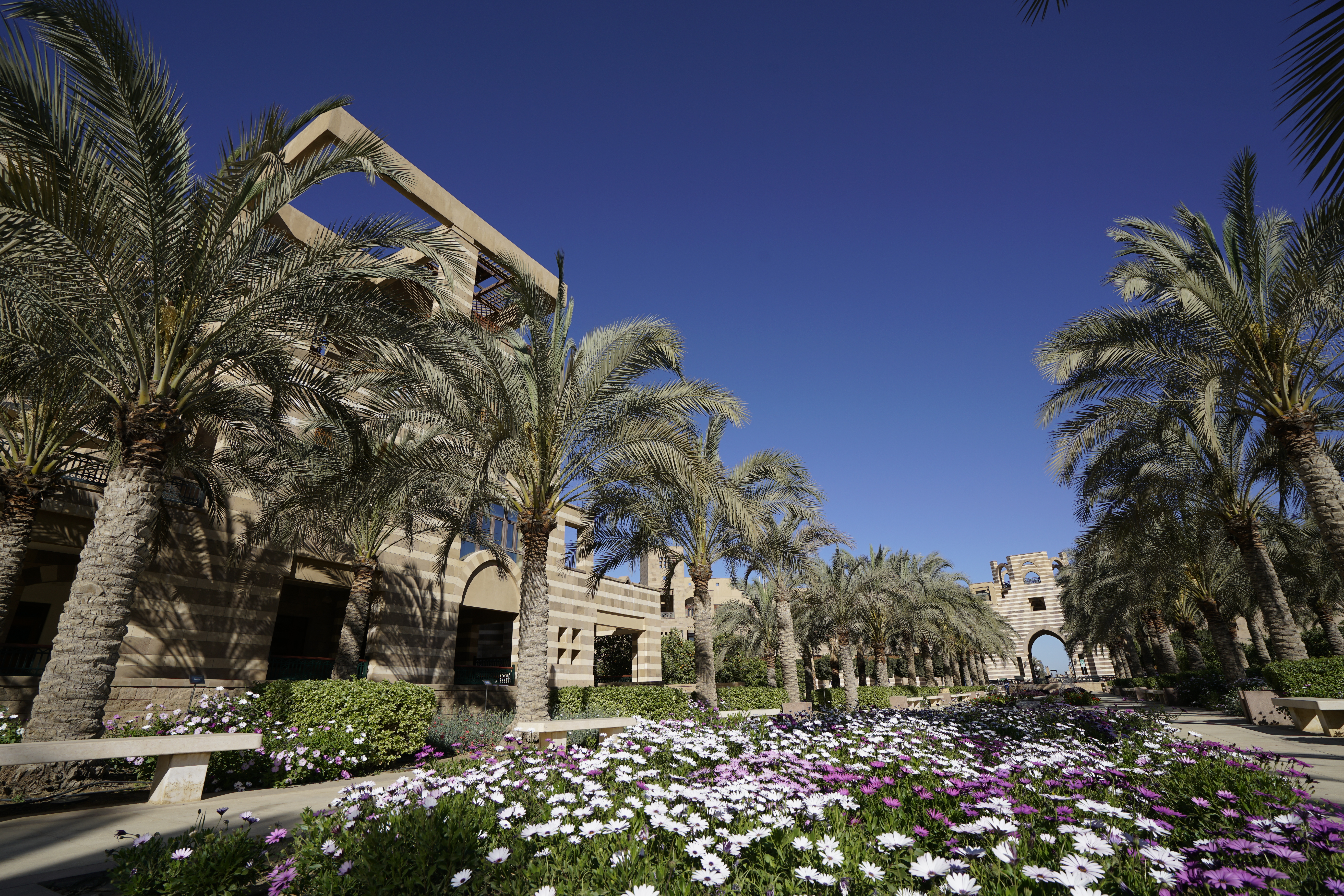 Campus