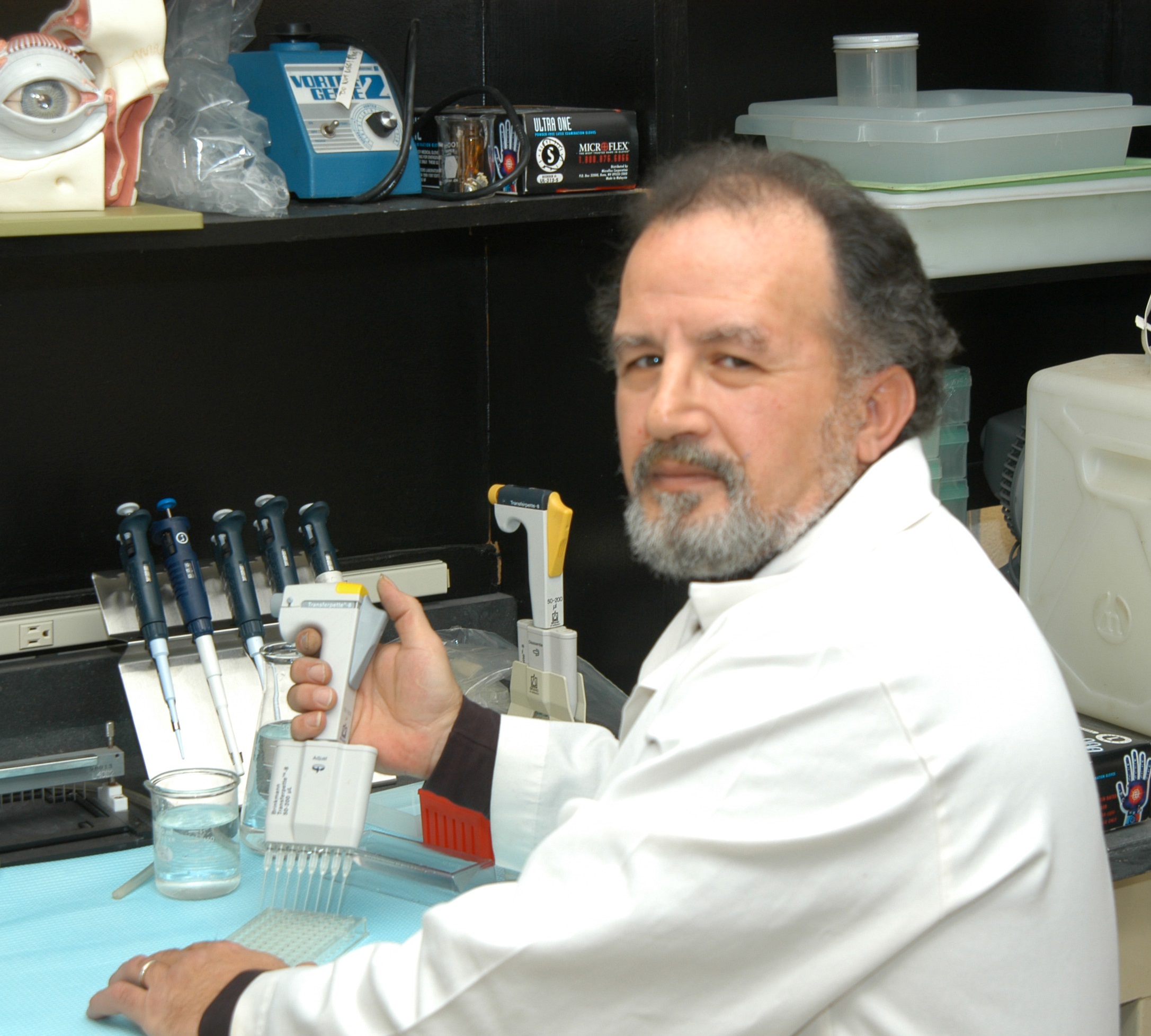Hassan El-Fawal