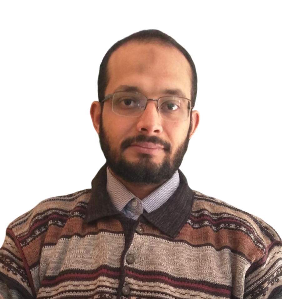 Tarek Ahmed Elsayed