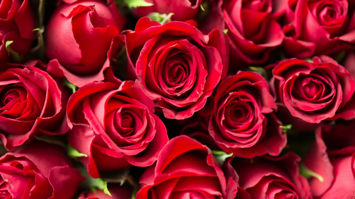 vday