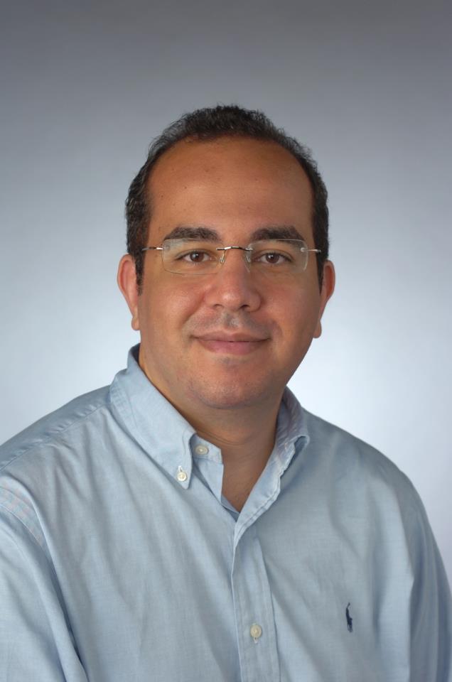 Ahmed El-Sayed Abdel Meguid