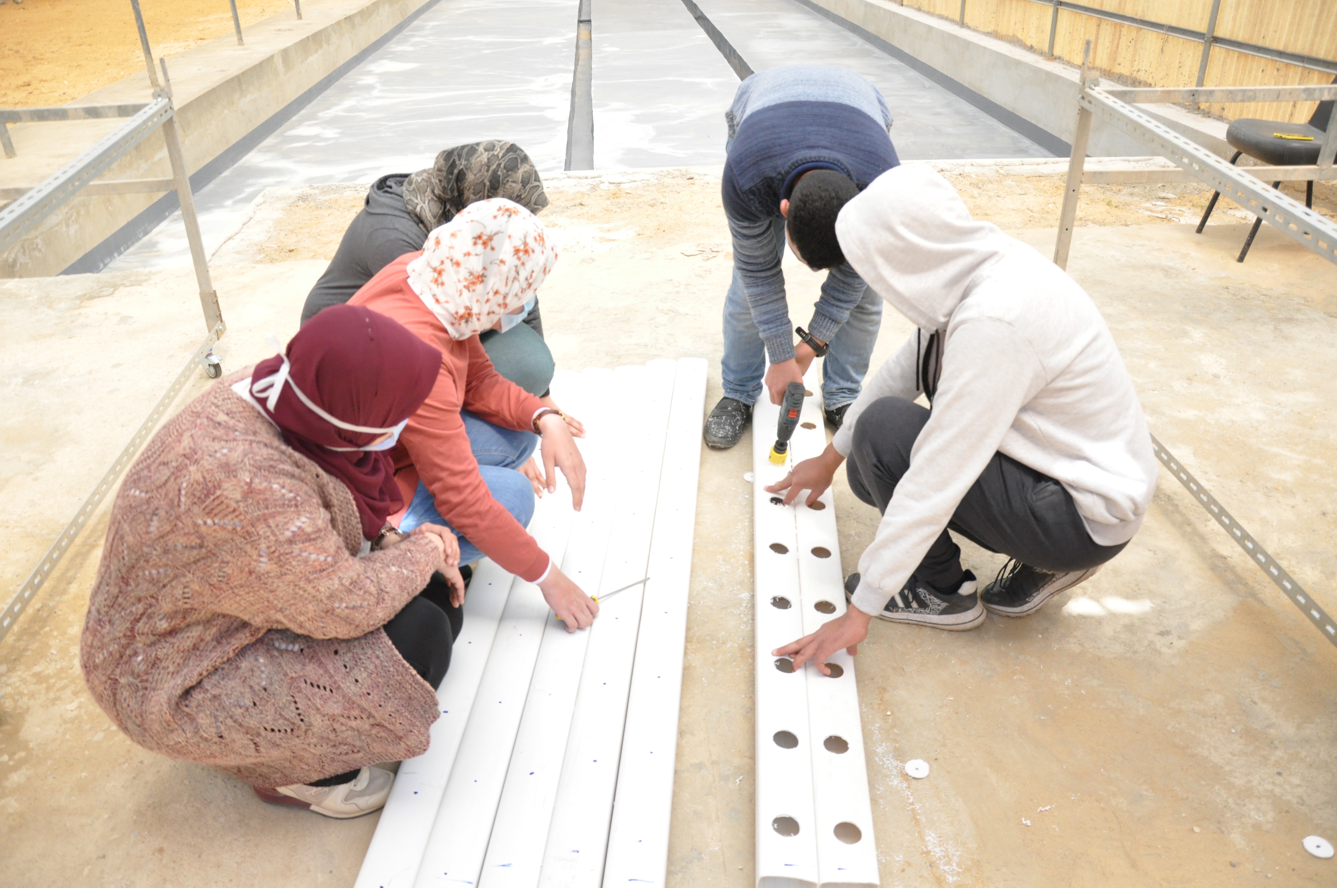 WEF students build a hydroponics system from scratch