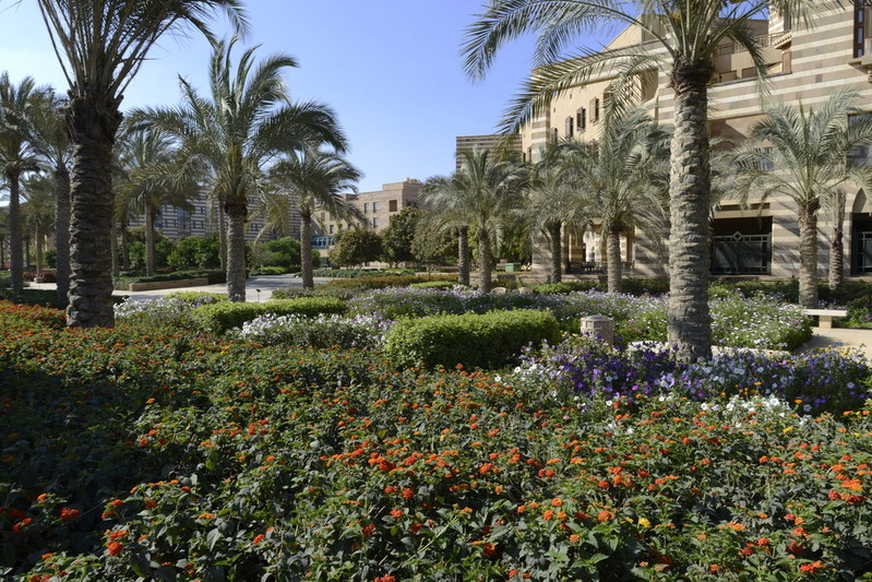 AUC Gardens