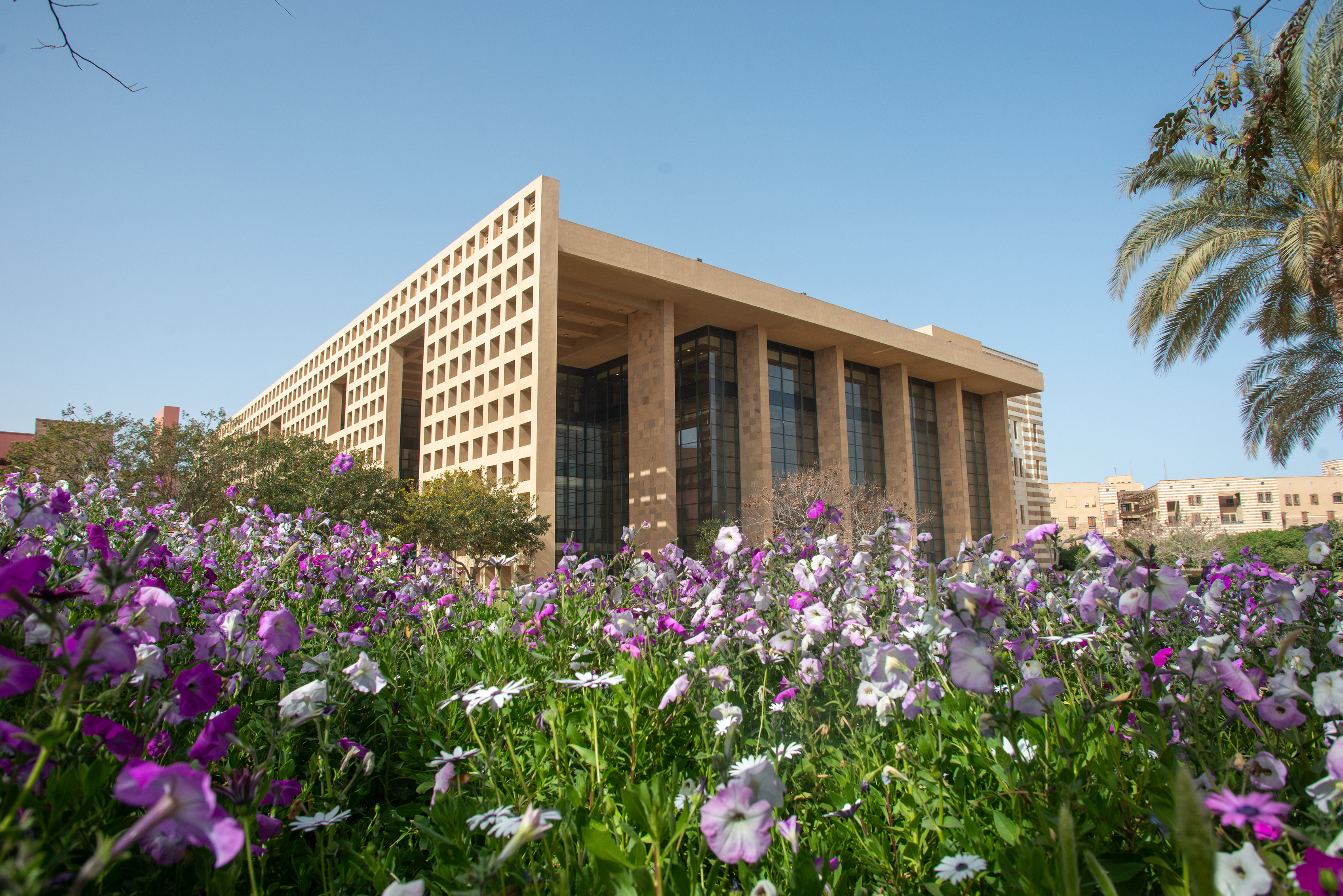 Flowers and building