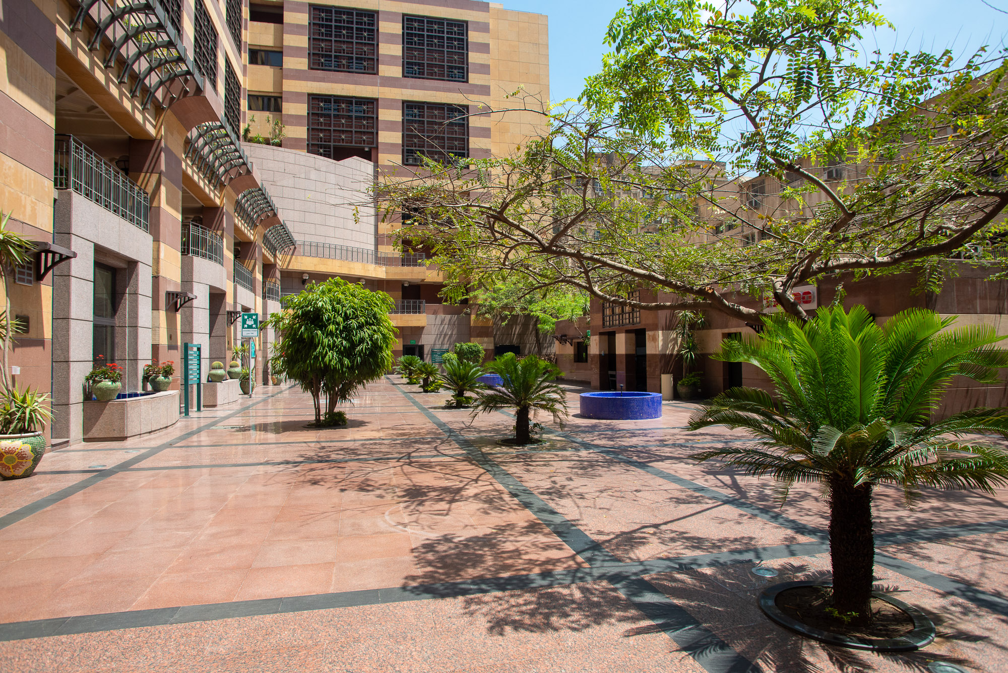 Courtyard with trees