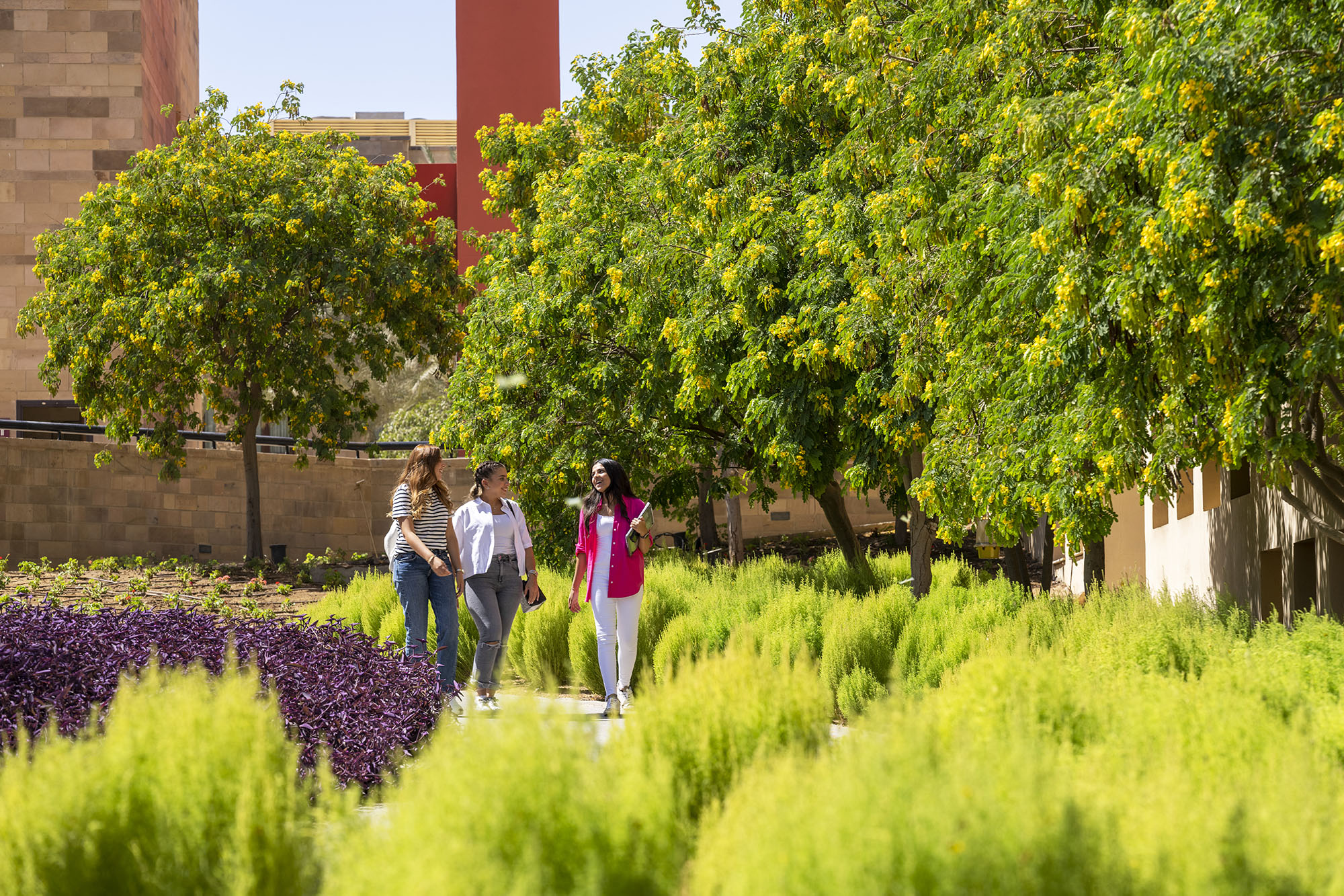 Three female students walking and talking in the garden.