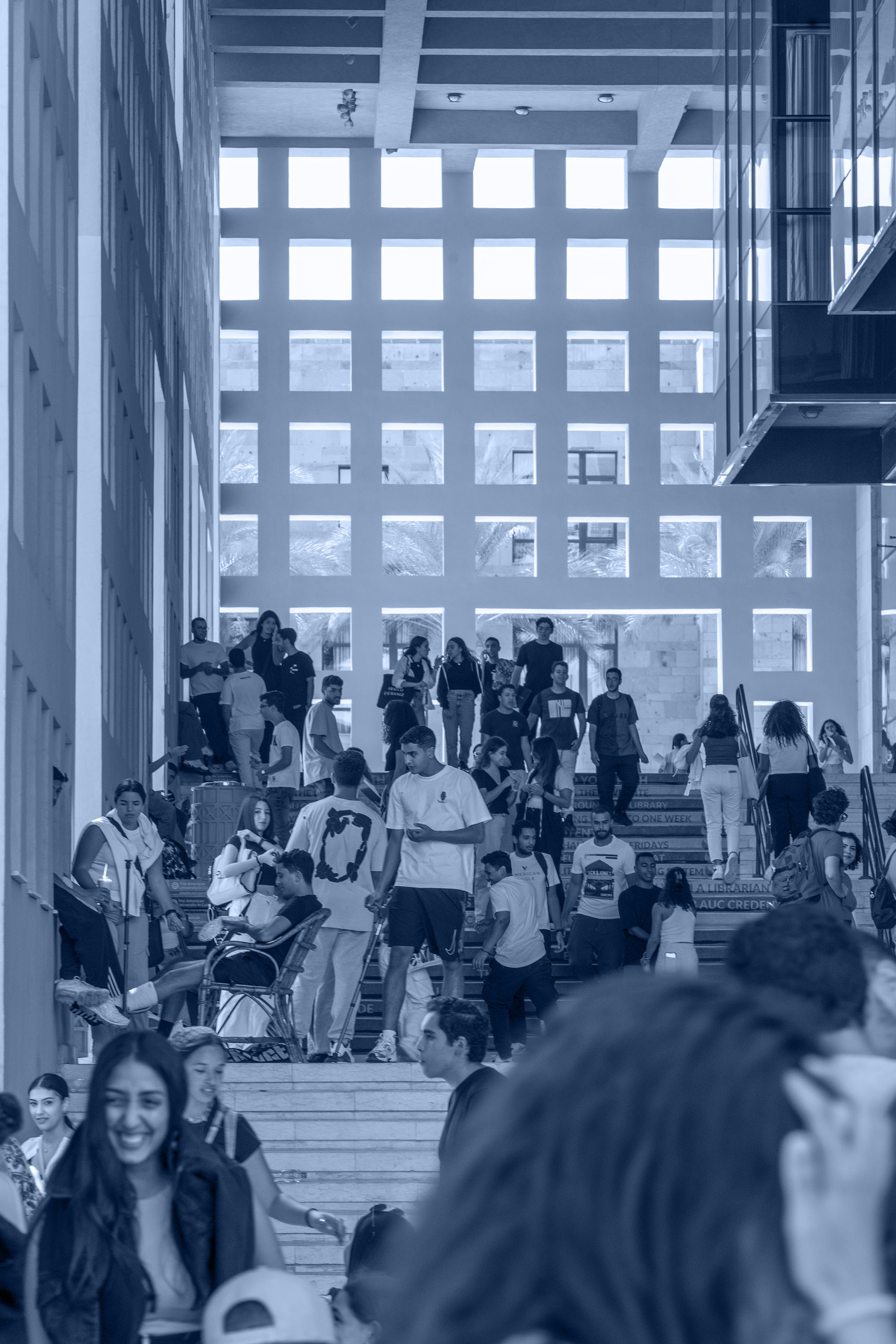 Sociology and Anthropology diploma monotone banner image of students going up and down in front of library stairs