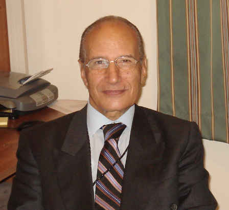 medhat hassanien