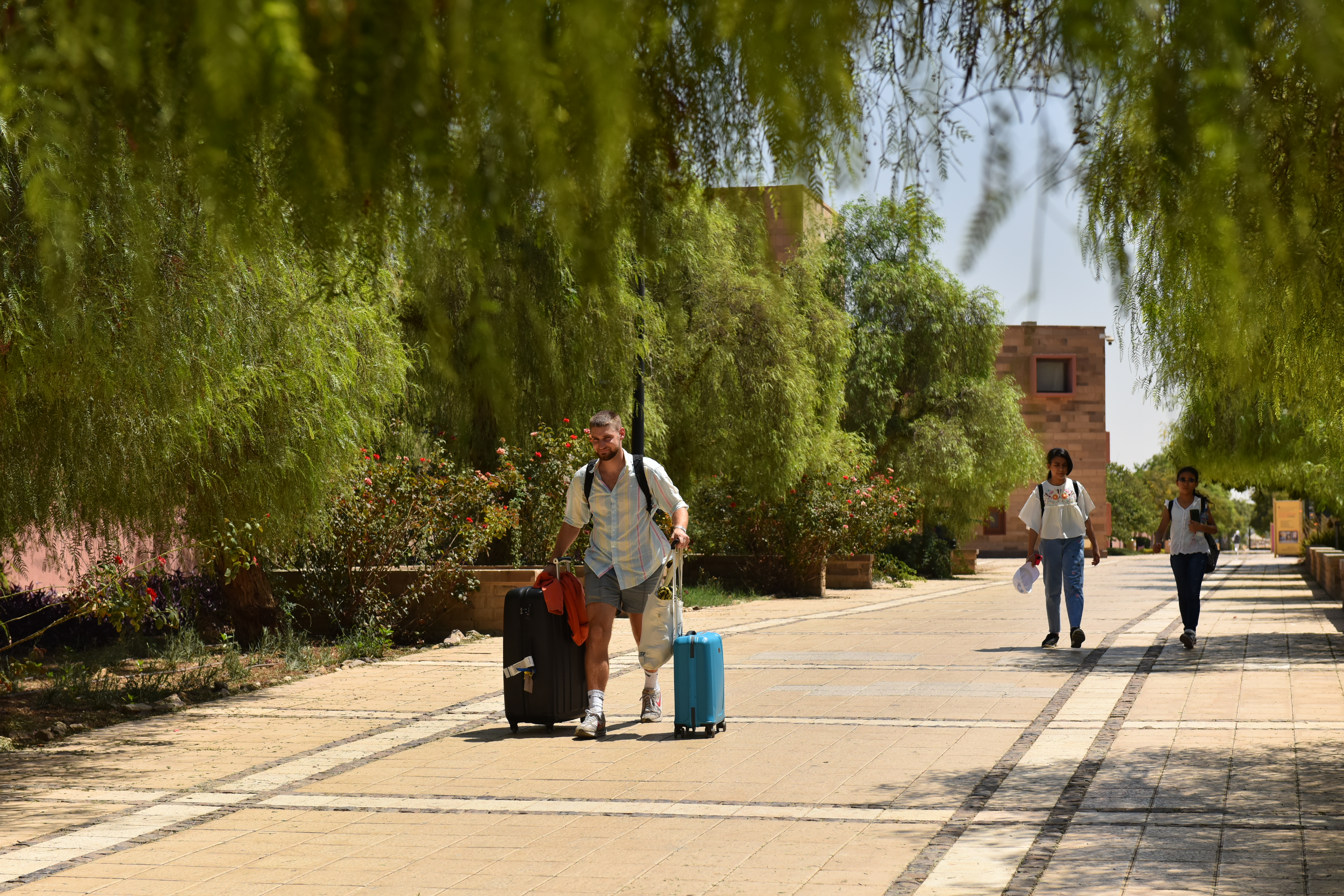 student resident moving in day, dragging behind him his luggage with greenery pathway leading to the dorms 