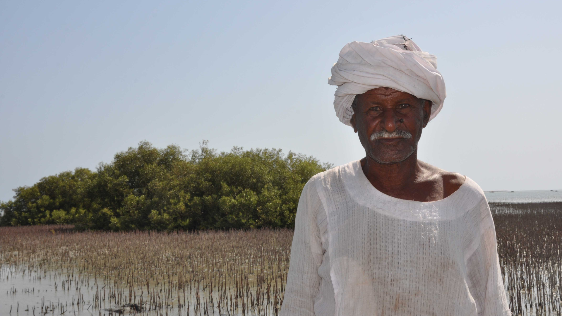 Local man standing in front of the mangrove fields