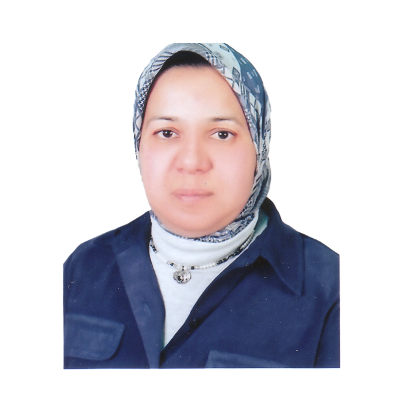 Mona Hassan photo
