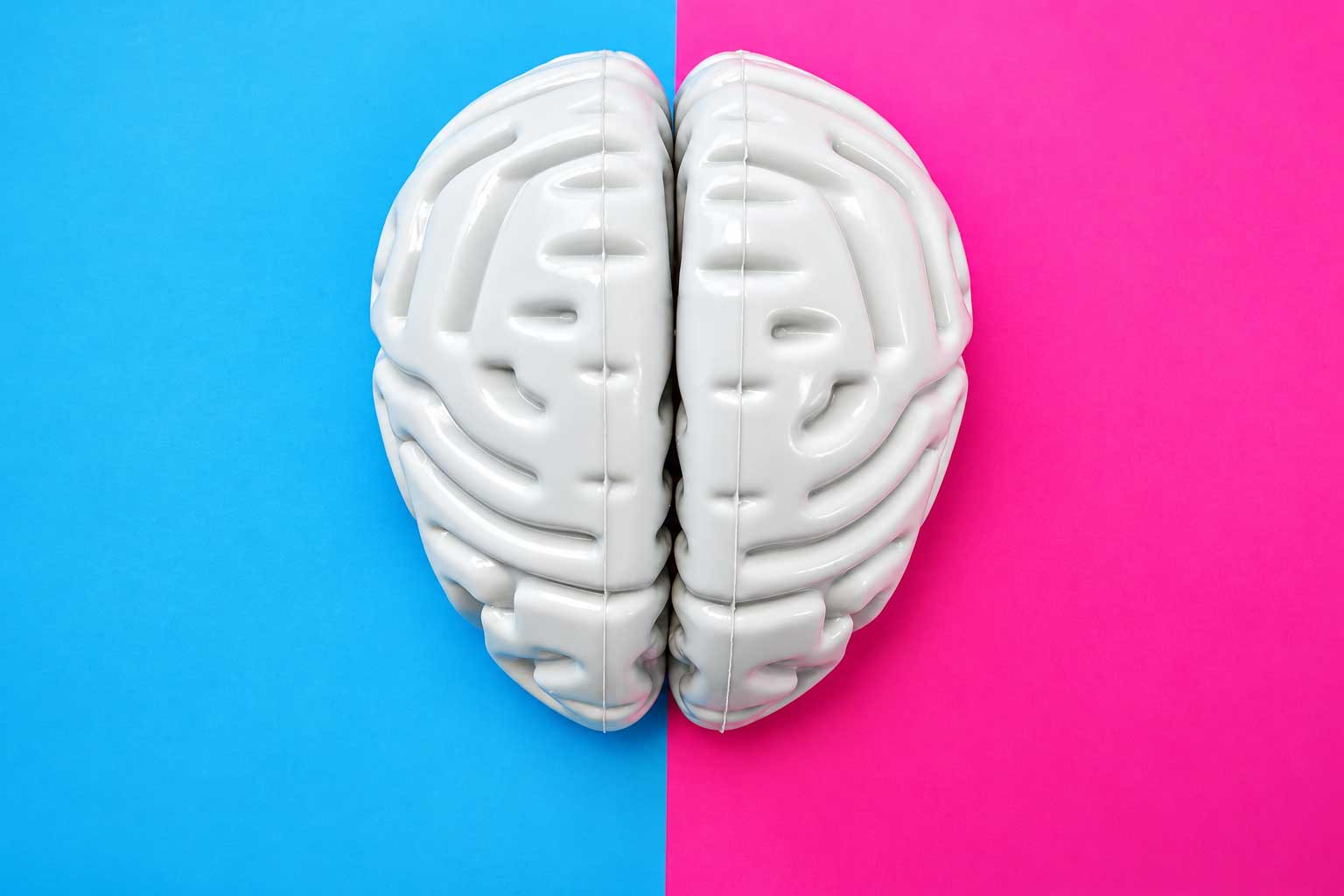 A brain is split in half between a blue and pink background (representing male and female)