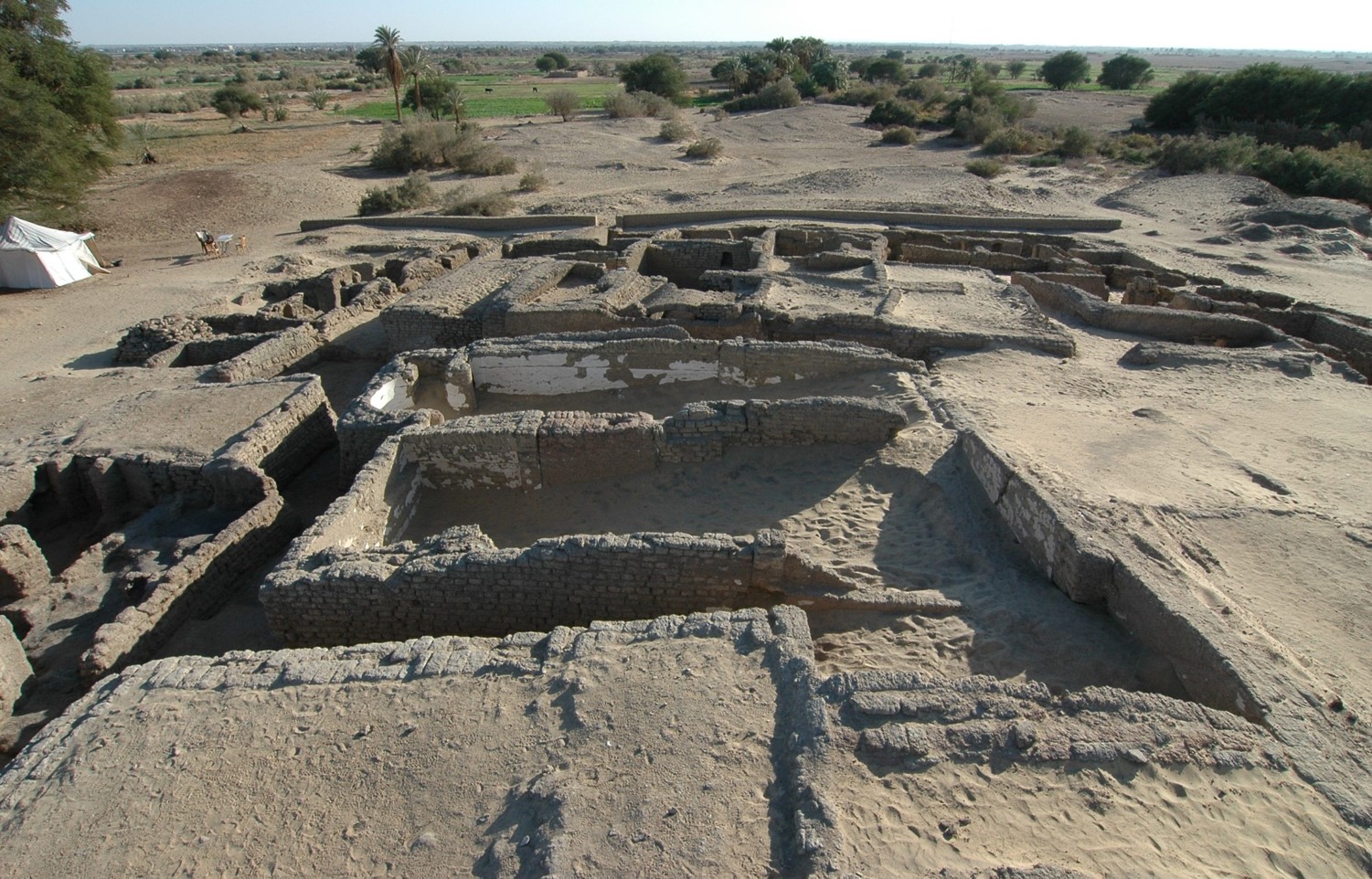 Nicola Aravecchia studies Early Christian communities at Ain el-Gedida and Amheida in the Western Desert