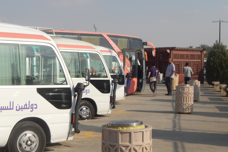 auc-buses