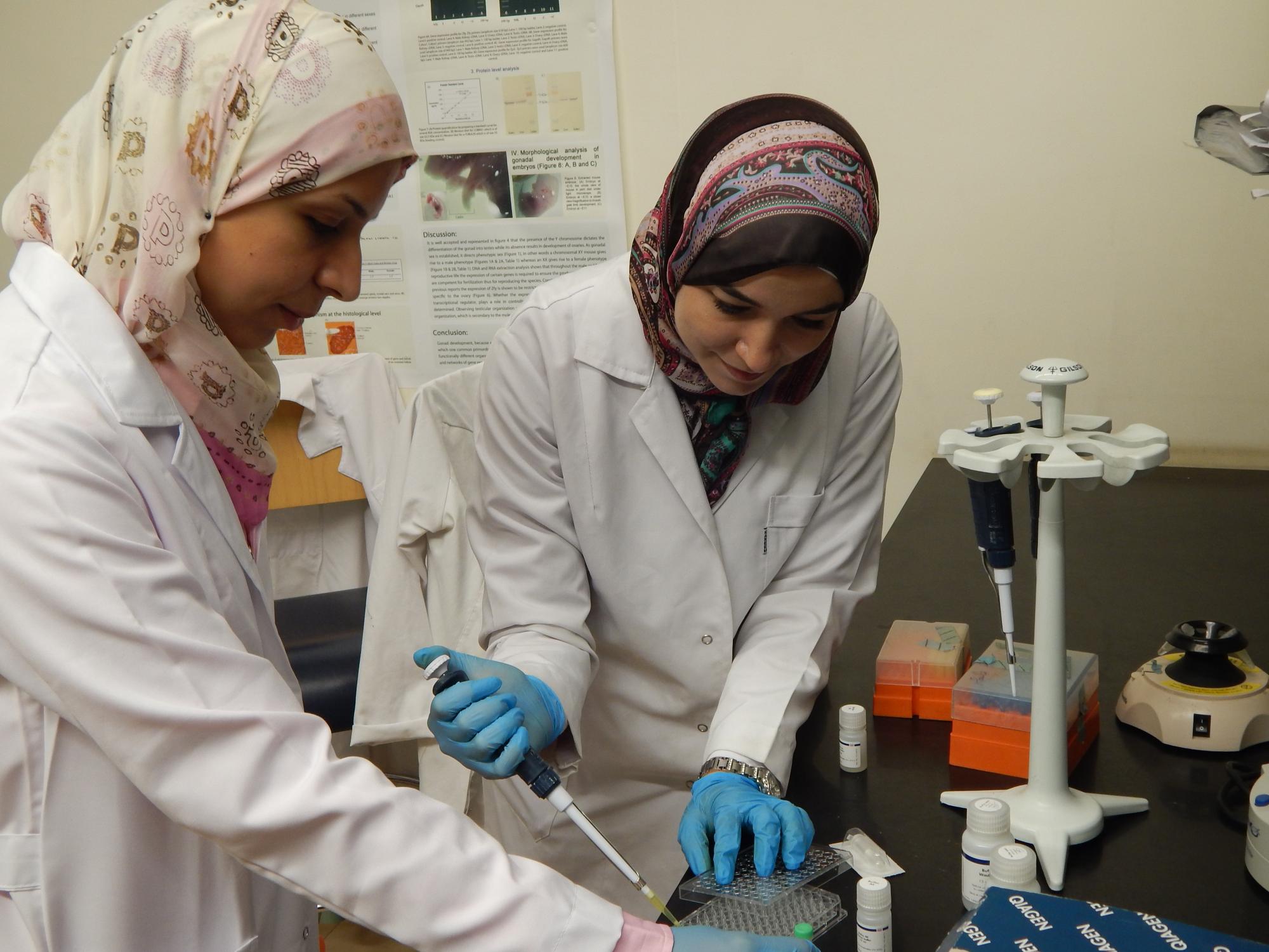 Students Laila Ziko and Nancy El-Baz work together on innovative research aimed at improving breast cancer treatments