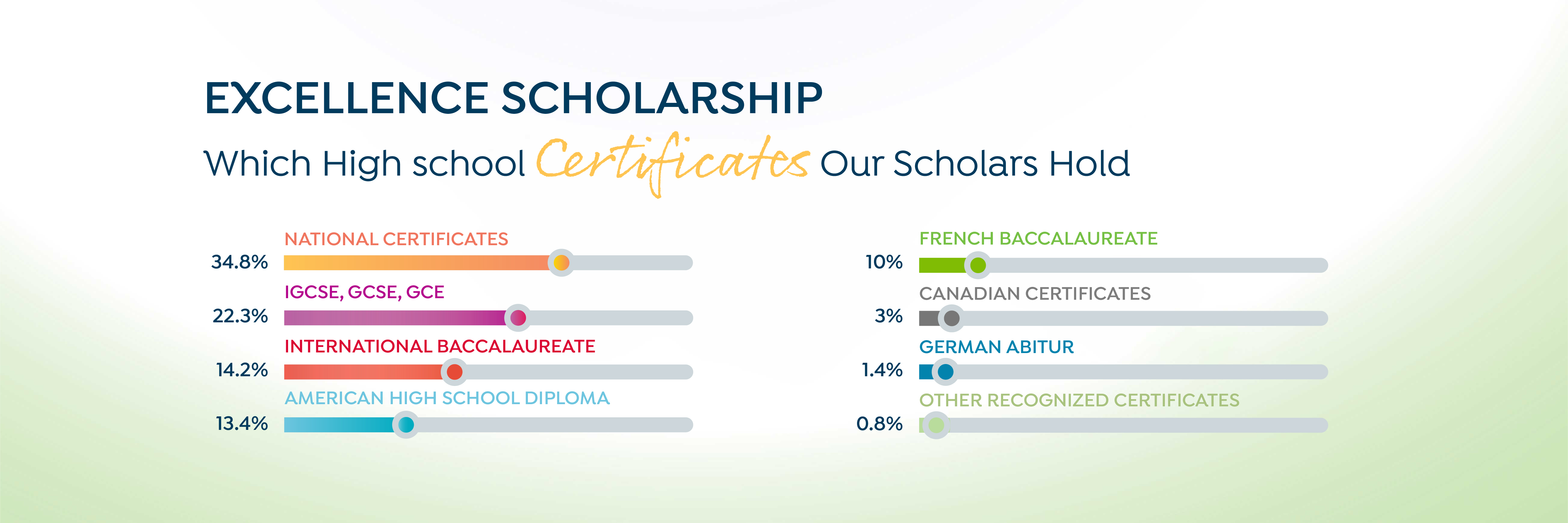 excellence scholarship infographic