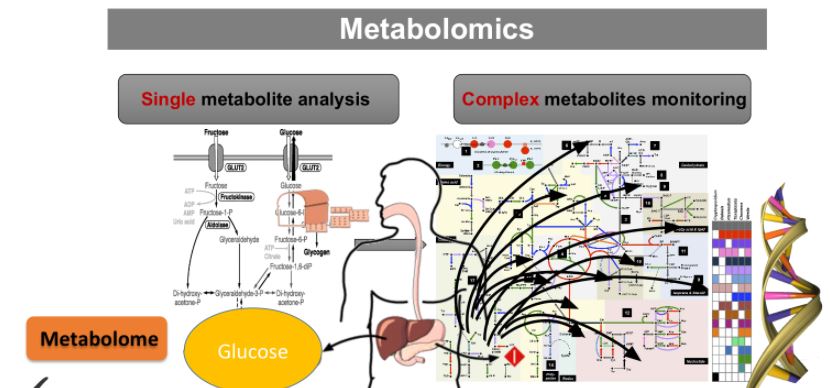 Metabolomics