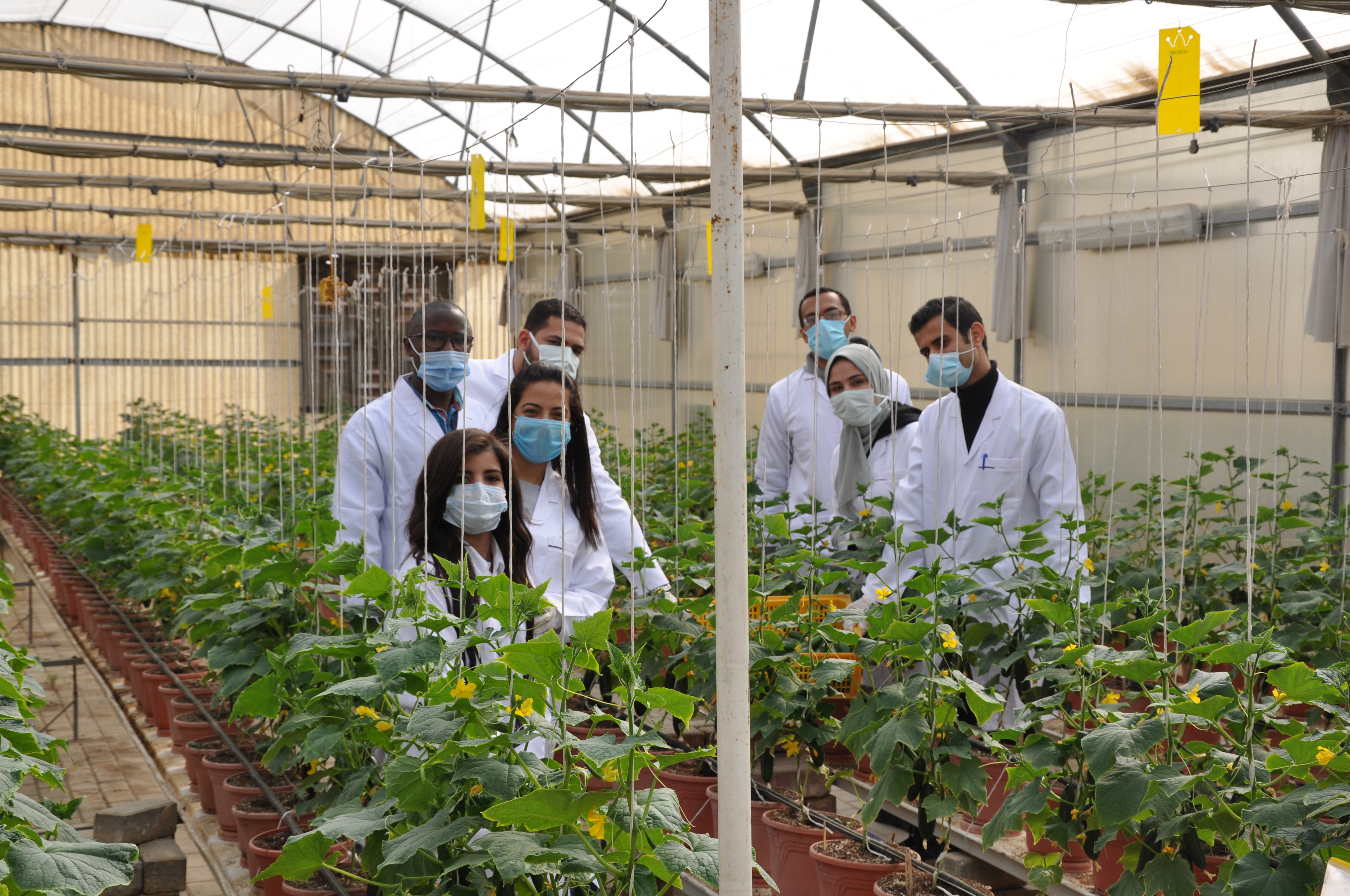 Part of the CARES team in a greenhouse on campus