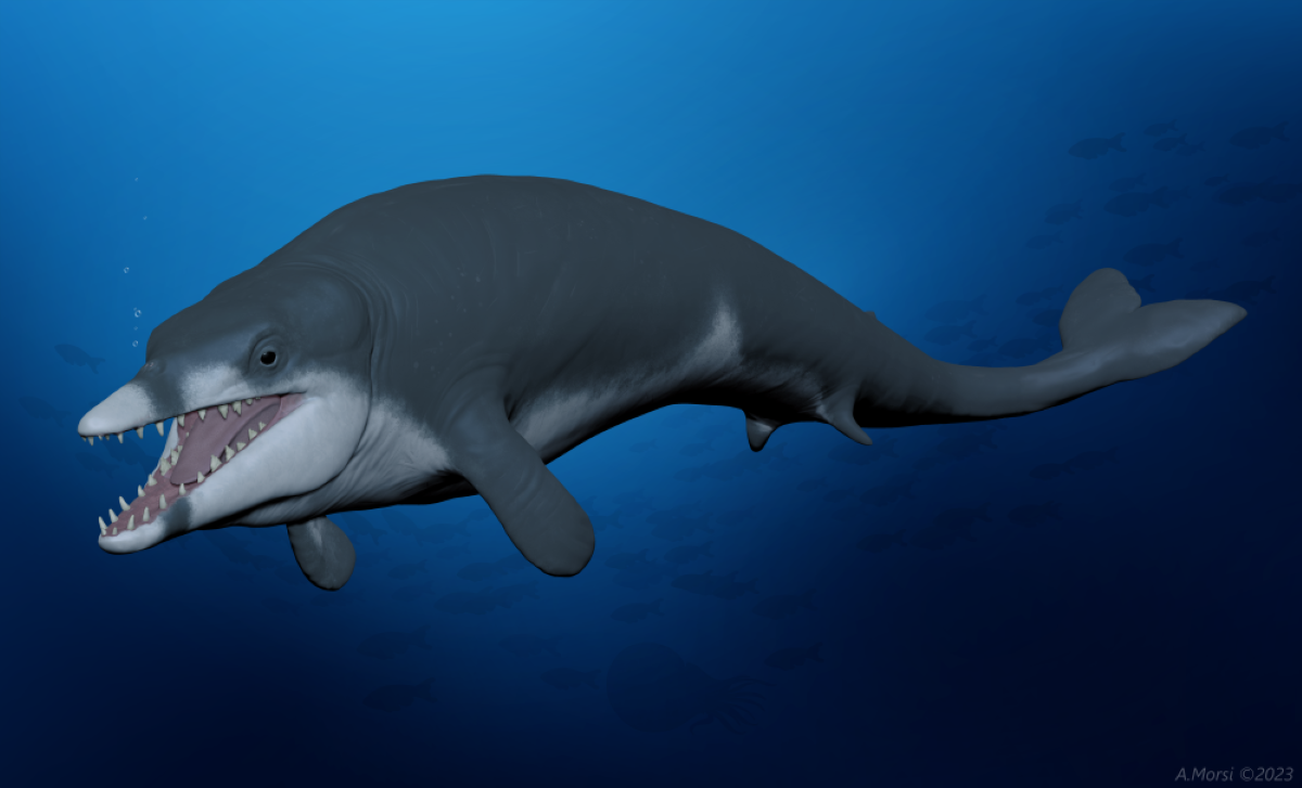 a computer-generated image of a whale