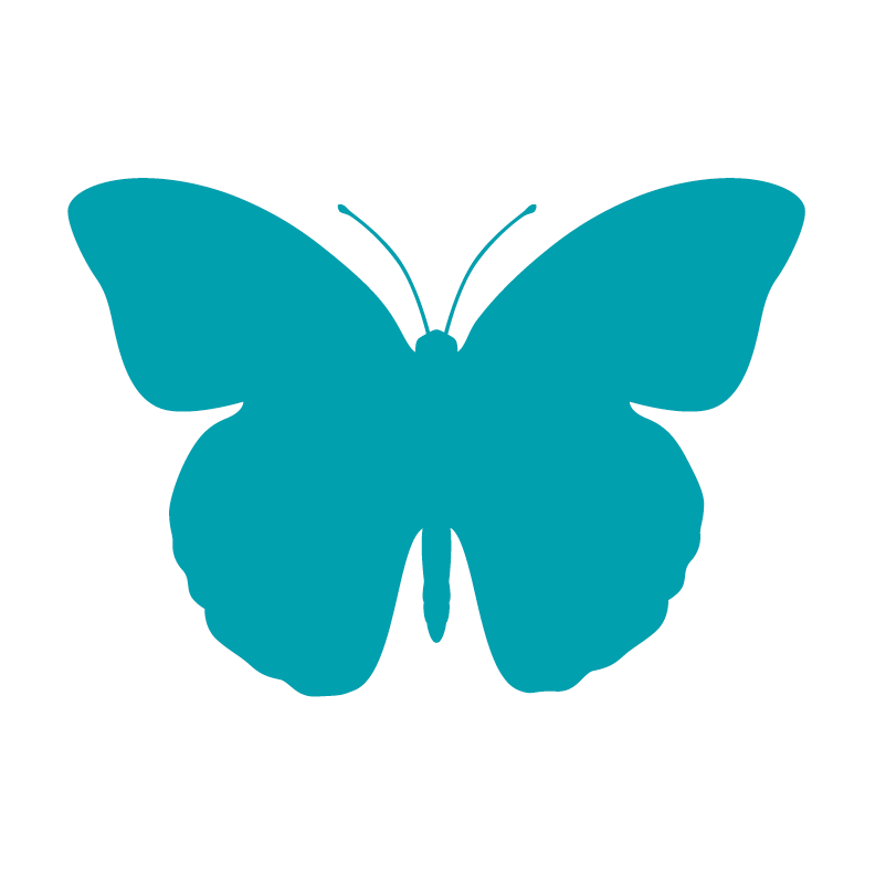 butterfly-icon