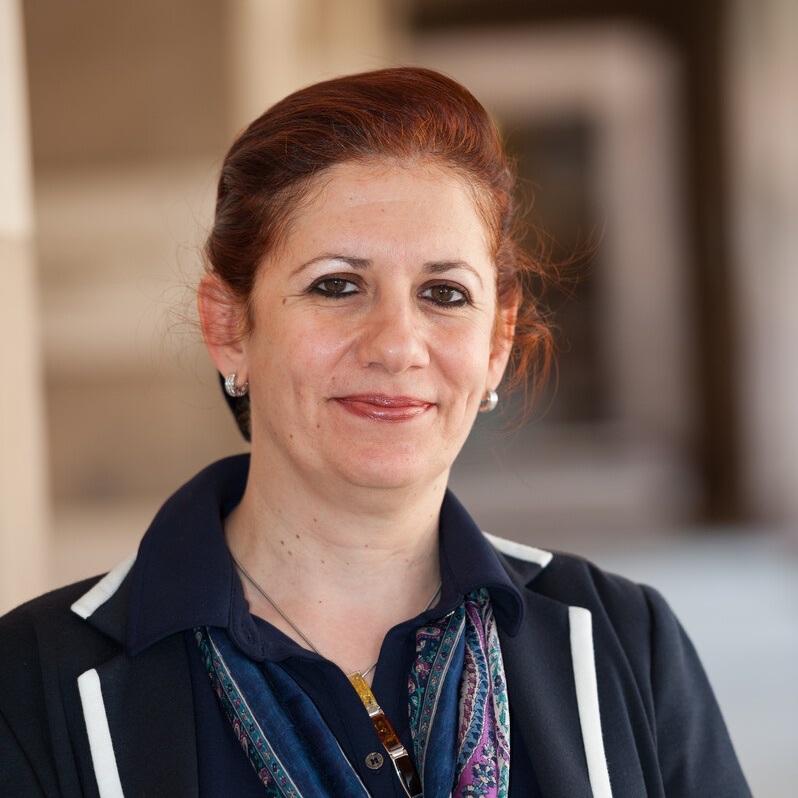 aila El Baradei, Professor of public administration