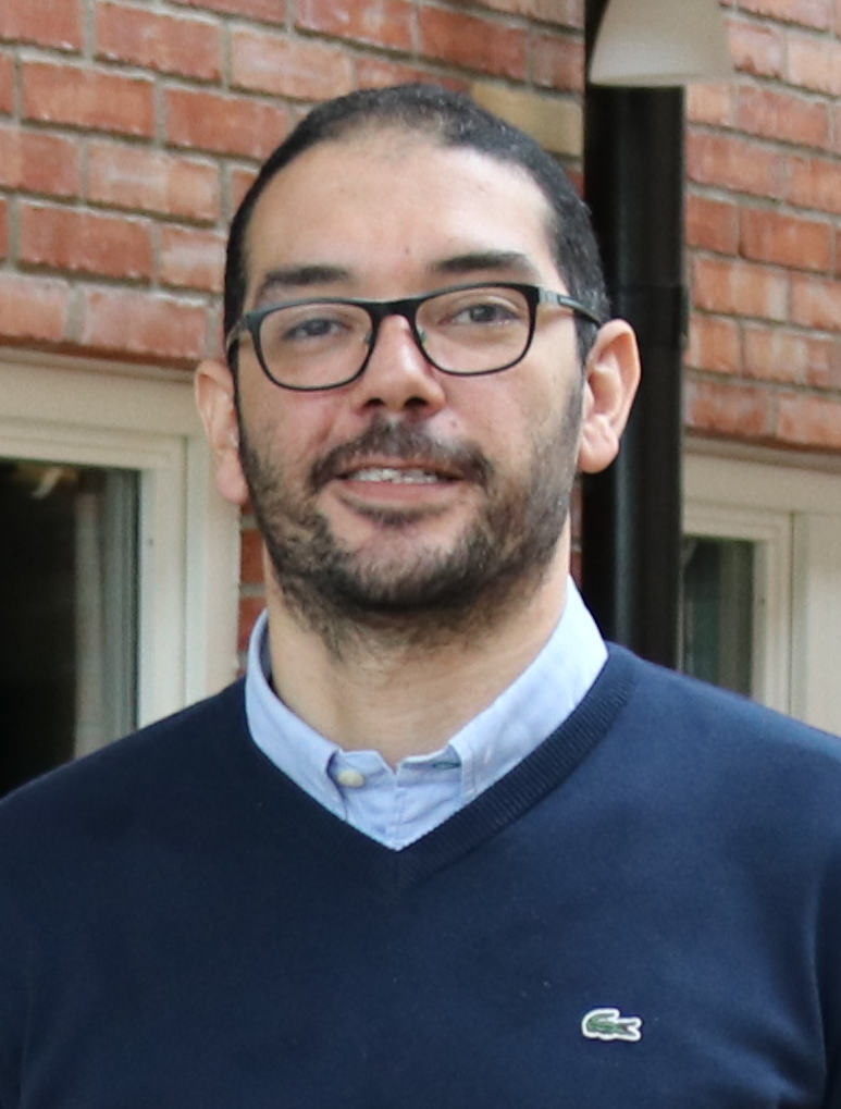 Professor Karim Seddik