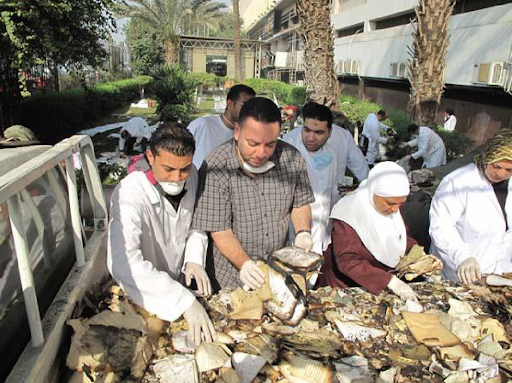 AUC Conservation team trying to match loose material with each other 