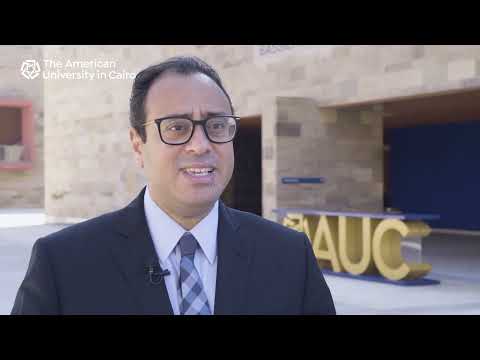 Bachelor of Accounting | The American University in Cairo