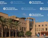 School of Sciences and Engineering