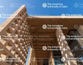 AUC Library