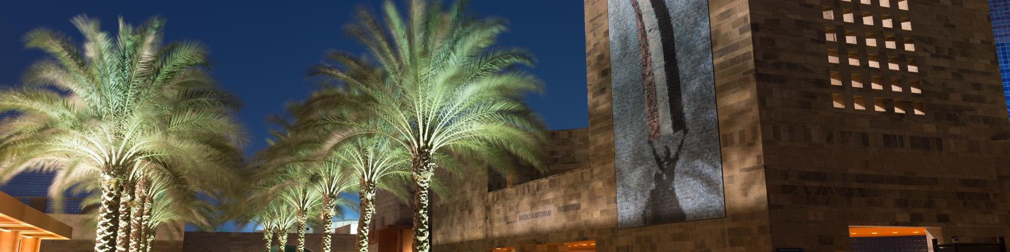AUC campus at night