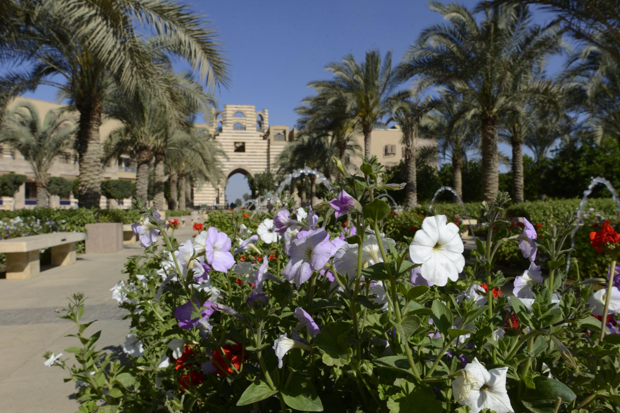 AUC_New_Campus