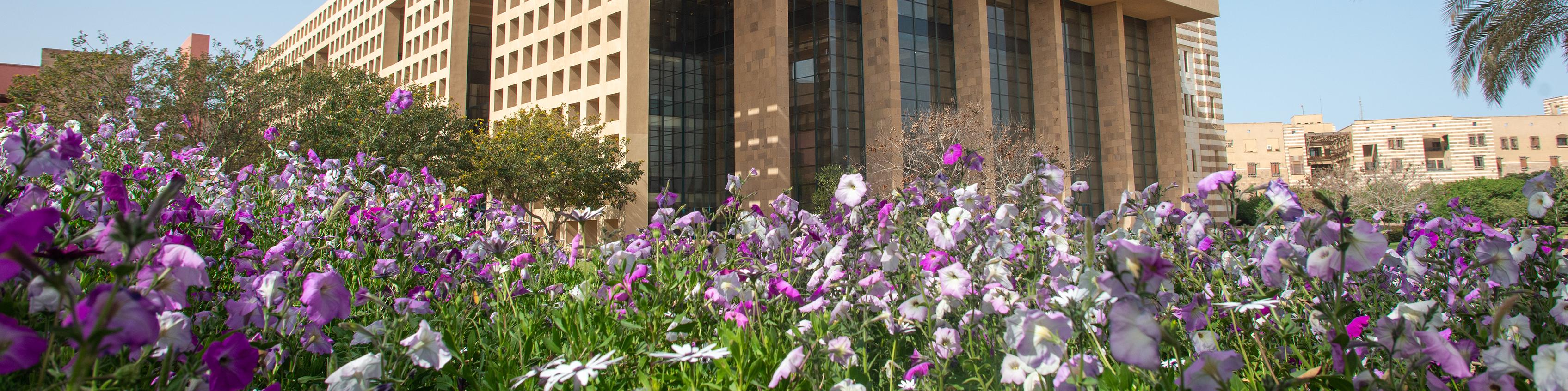 Flowers and building