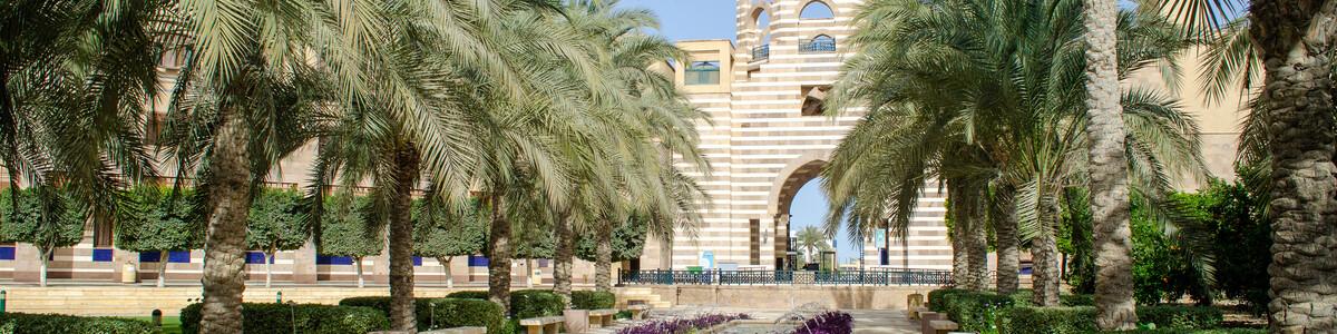 New Cairo Campus Garden 