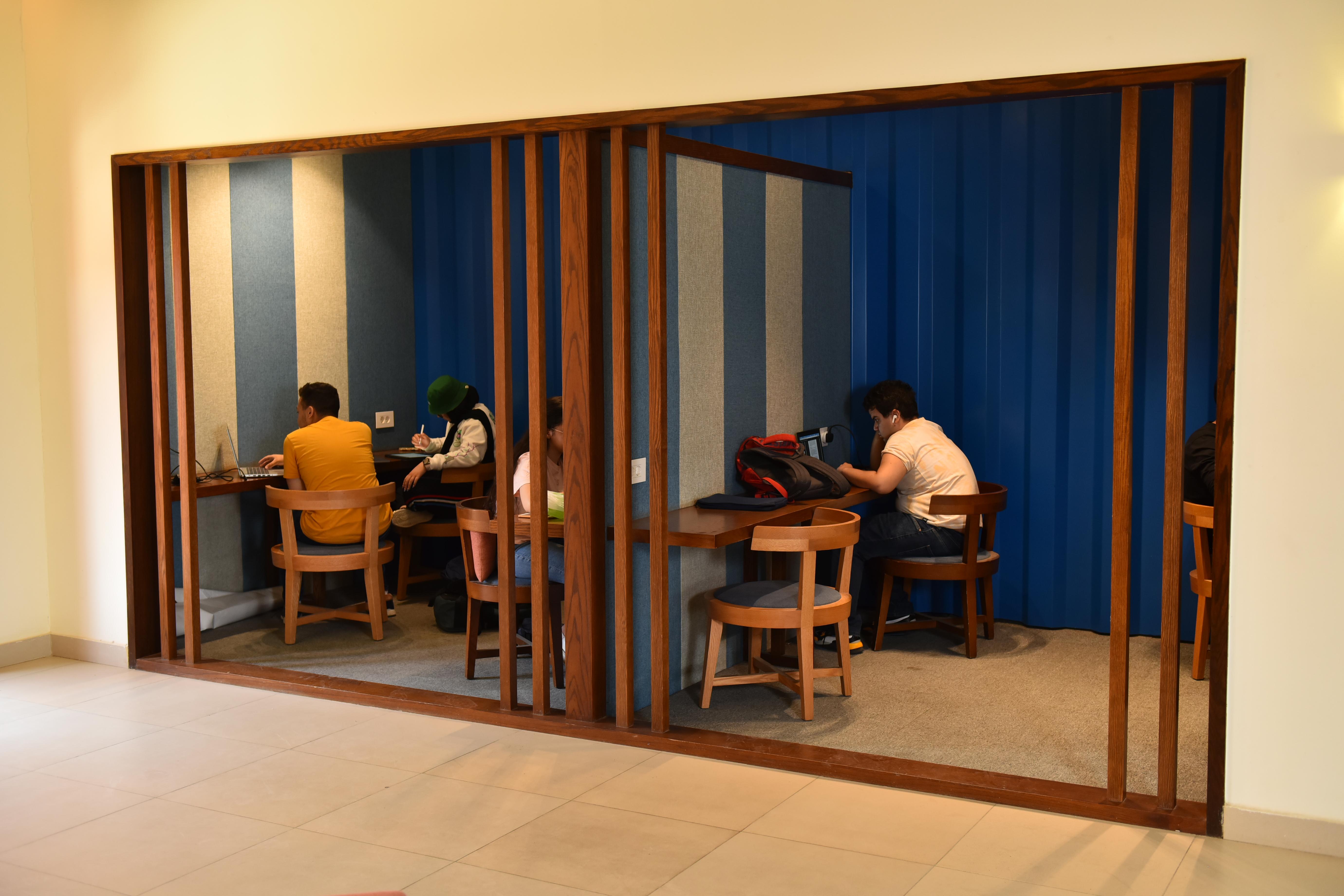 student in Library Carrels