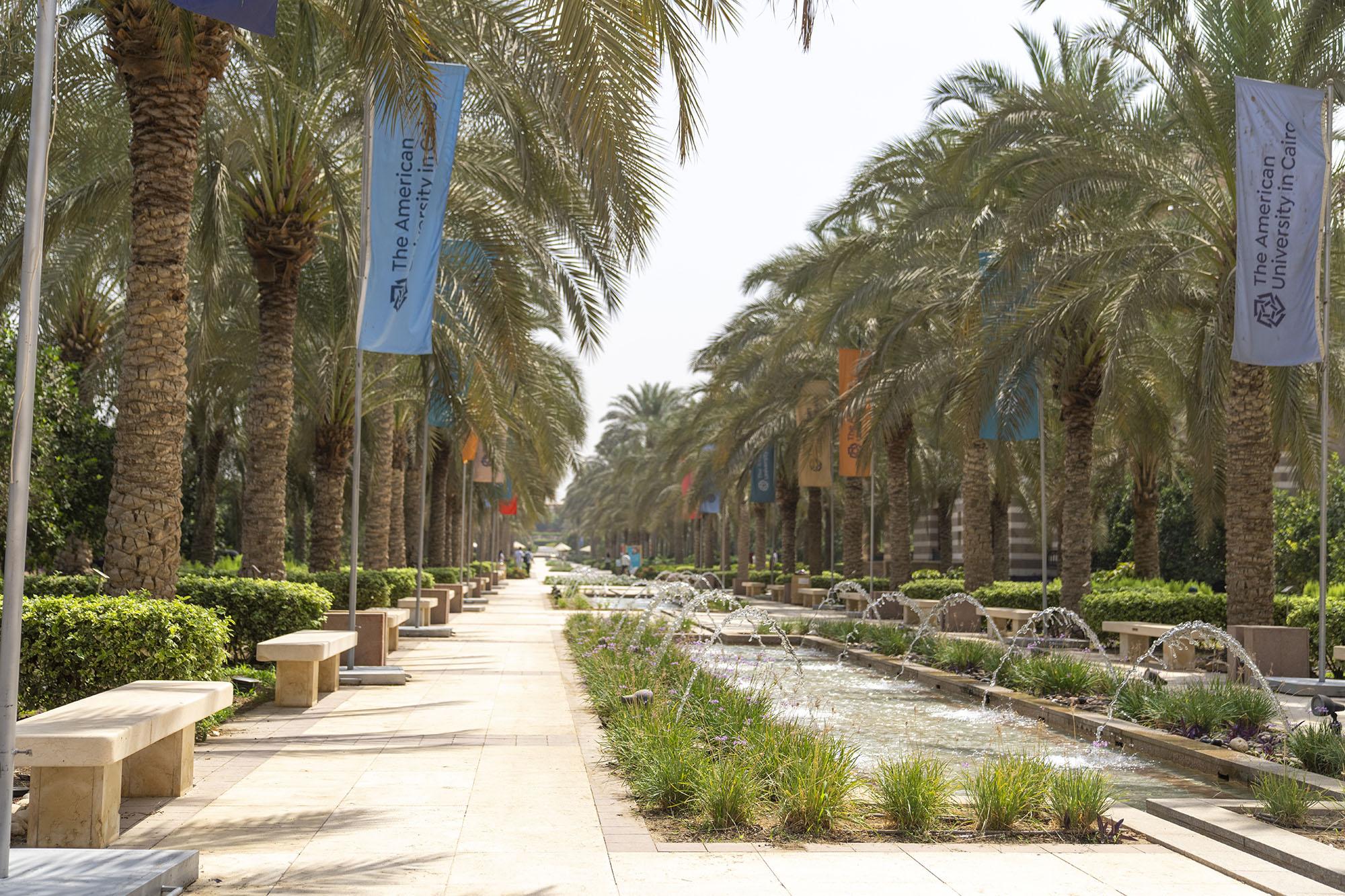 View of a water fountain and trees and benches on the side