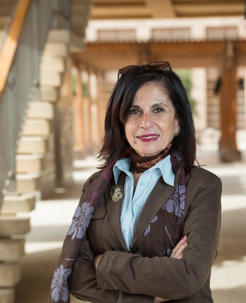 Malak zaalouk the american university in cairo