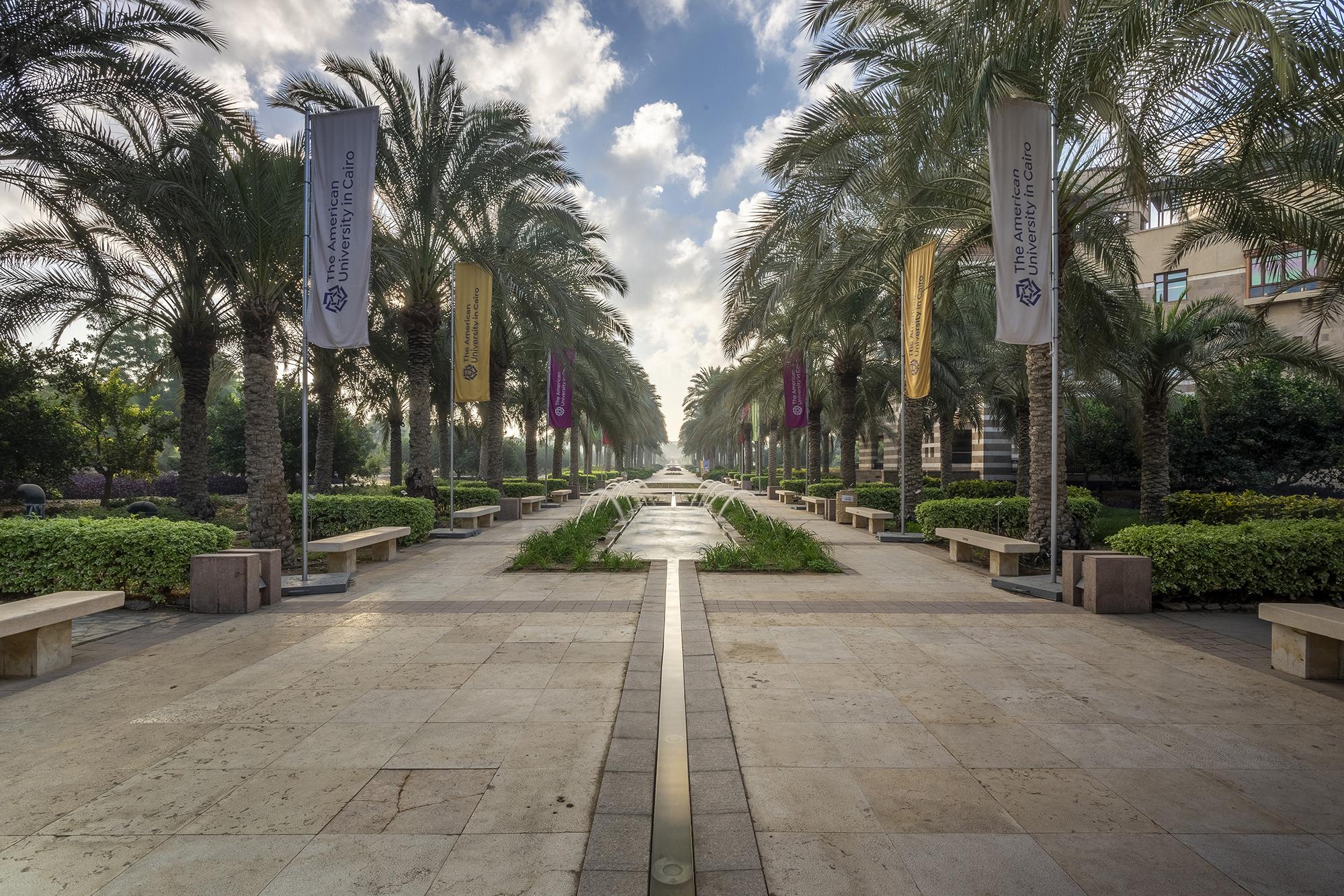 auc new cairo campus