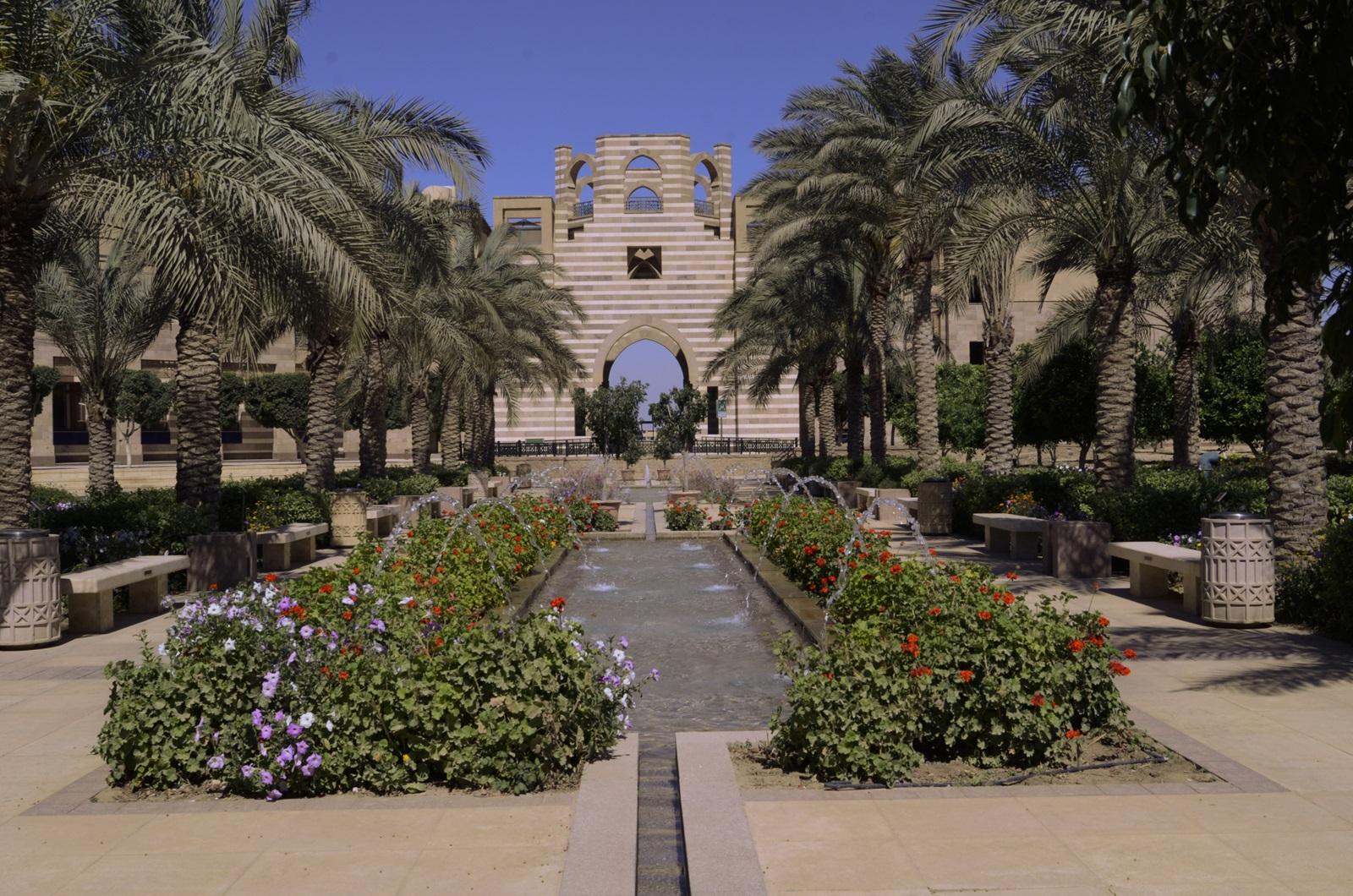 Meet the Freshman Class | The American University in Cairo