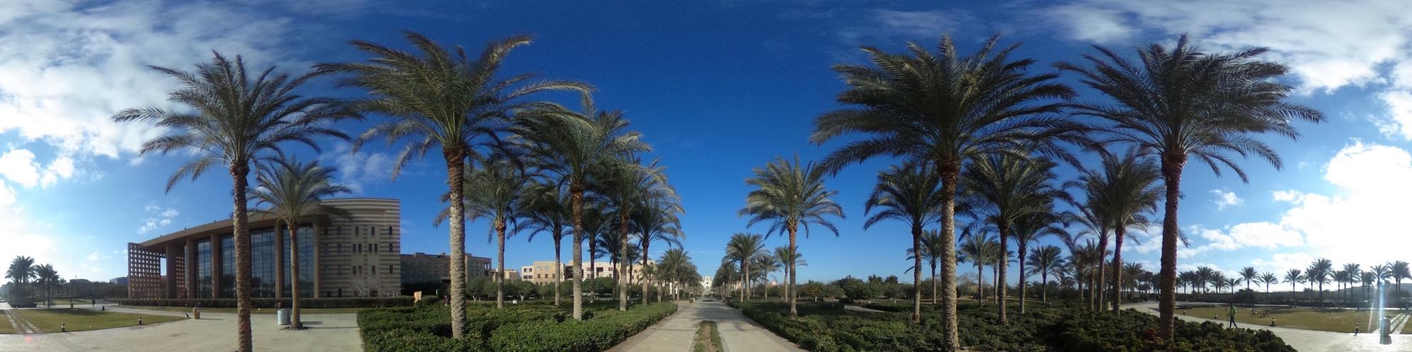 The corridor in front of the AUC portal with fountain and palms