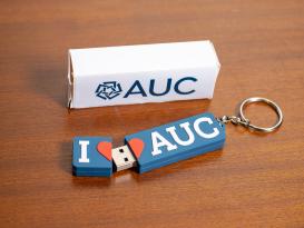 USB Key Chain