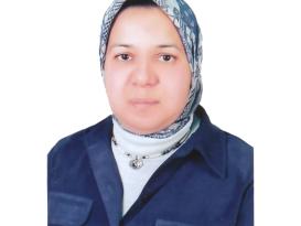 Mona Hassan photo