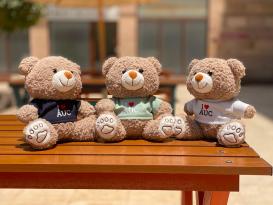 AUC Teddy Bear 