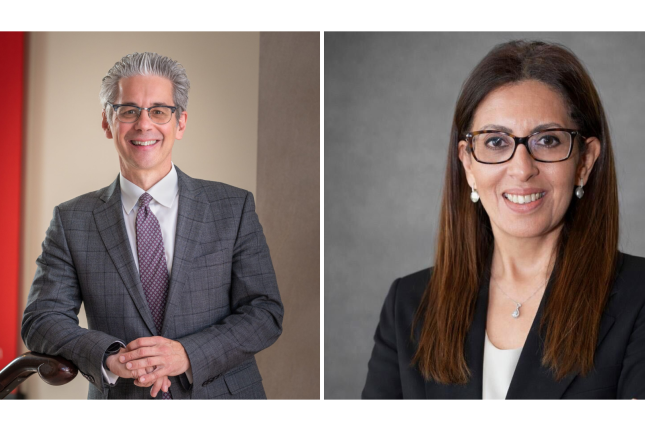 Chase F. Robinson and Marwa Abbas 