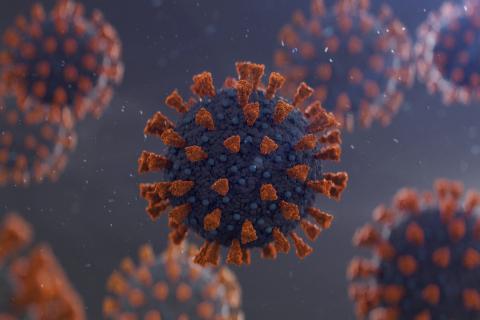 Coronavirus