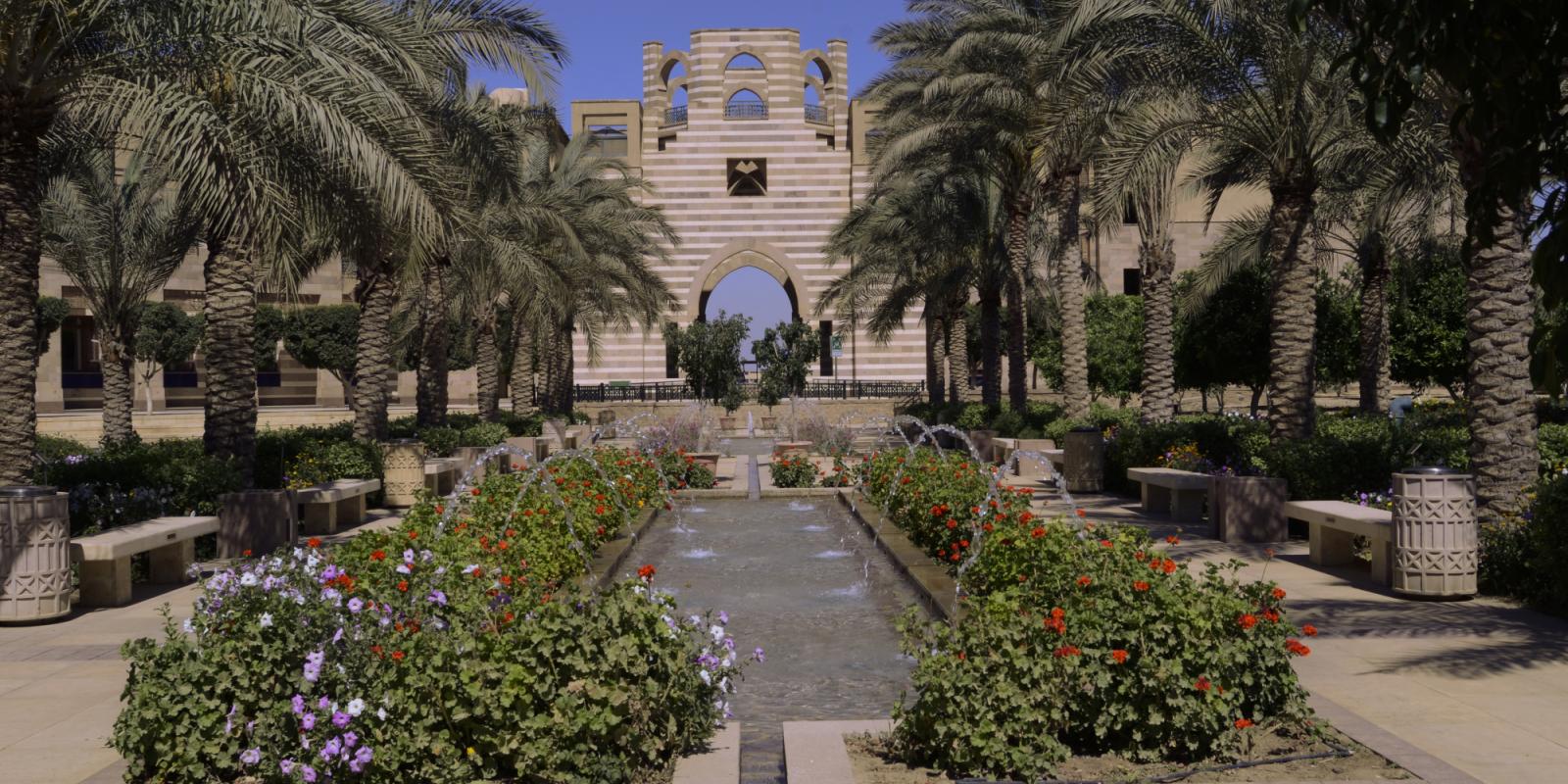 AUC garden