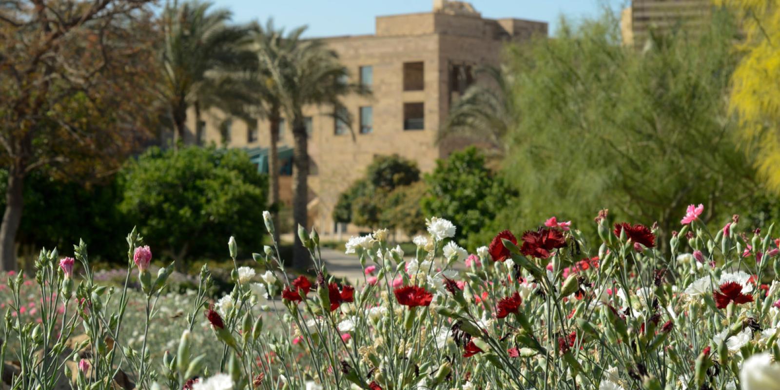Building and flowers